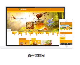 网站建设哪家有实力 漳州网站建设