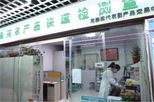 助力全国文明城市 国家食品安全城市创建丨兰州市开展食品市场检查 保障群众饮食安全