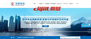 临沂网站建设 临沂网络公司 全网优化推广 产品线上运营 山东鼎基信息技术
