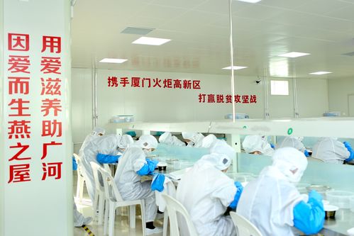 优秀乡村就业工厂 燕之屋广河临夏乡村就业工厂获甘肃省政府通报表扬