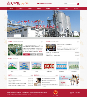 中国·甘肃通渭飞天食品|经典案例|兰州宜天网络科技|兰州品牌网站建设,兰州网页制作