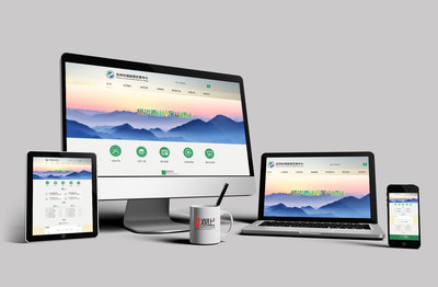 西安网站建设与兰州网站建设 区域市场特色与发展策略探讨